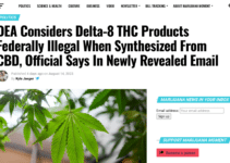 The DEA Declares Delta-8 THC Synthesized from CBD Federally Illegal: Implications for the Market, Vaping Risks, and Product Regulation